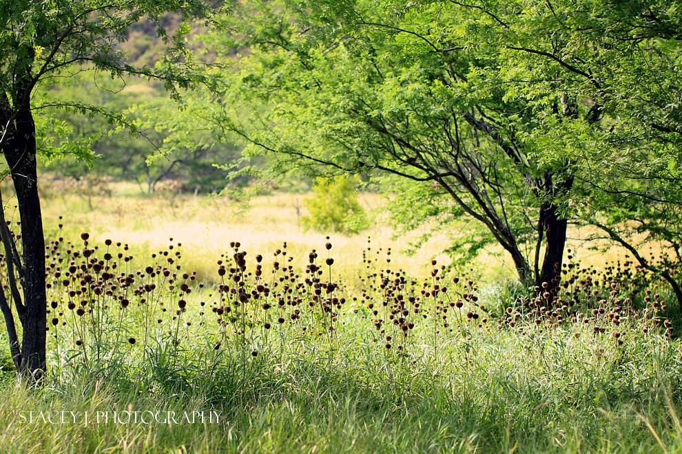 L15